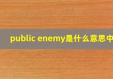 public enemy是什么意思中文